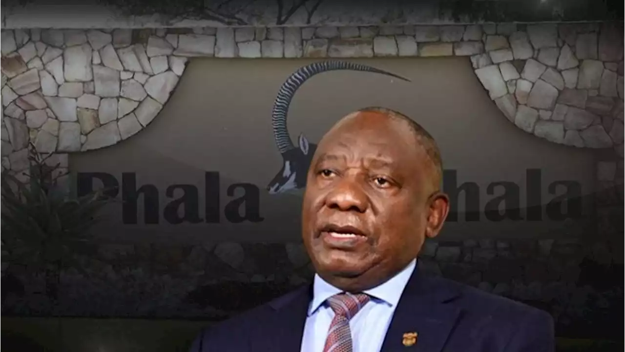 Phala Phala probe did not look into any foreign exchange violations: Gcaleka - SABC News