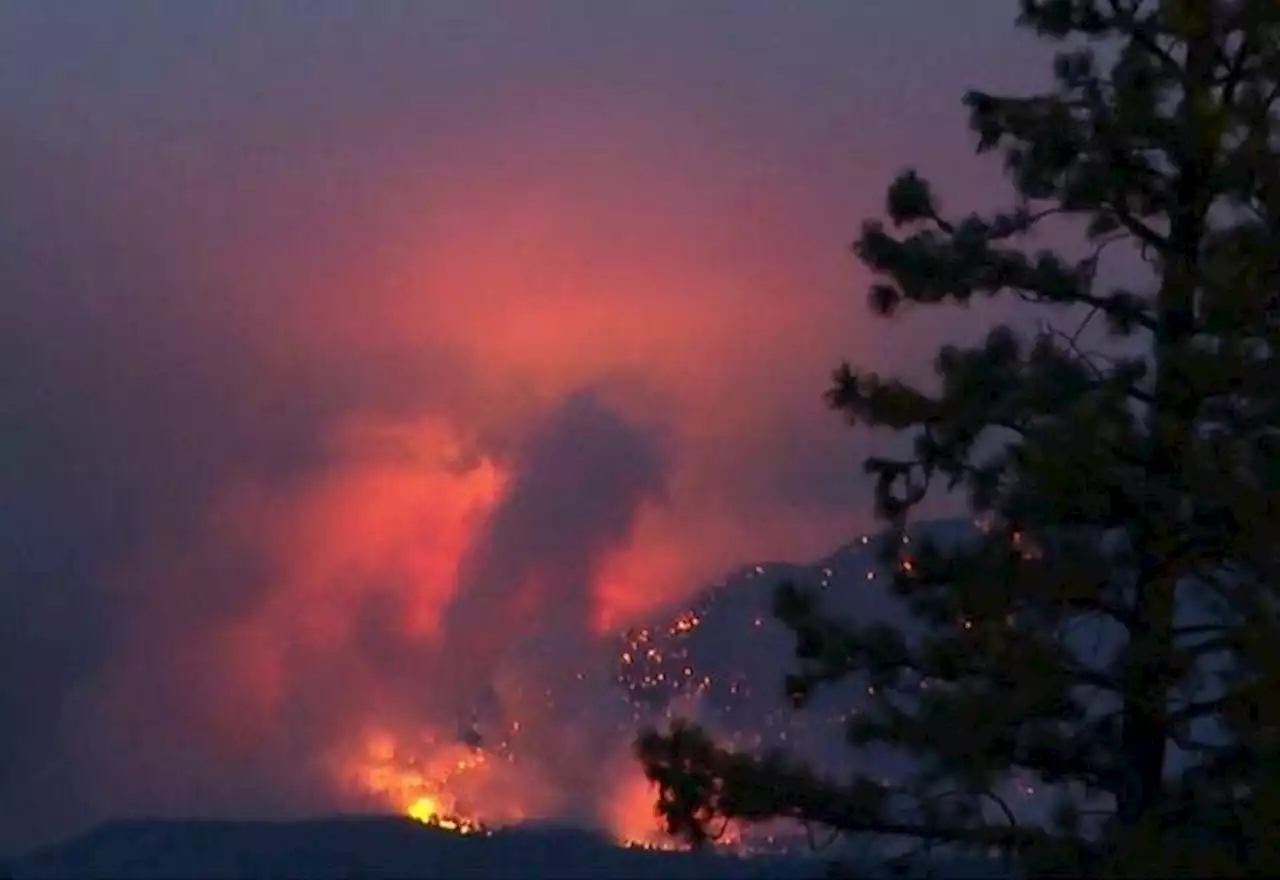 Onda de calor provoca incêndios florestais e mortes na América do Norte - SBT News