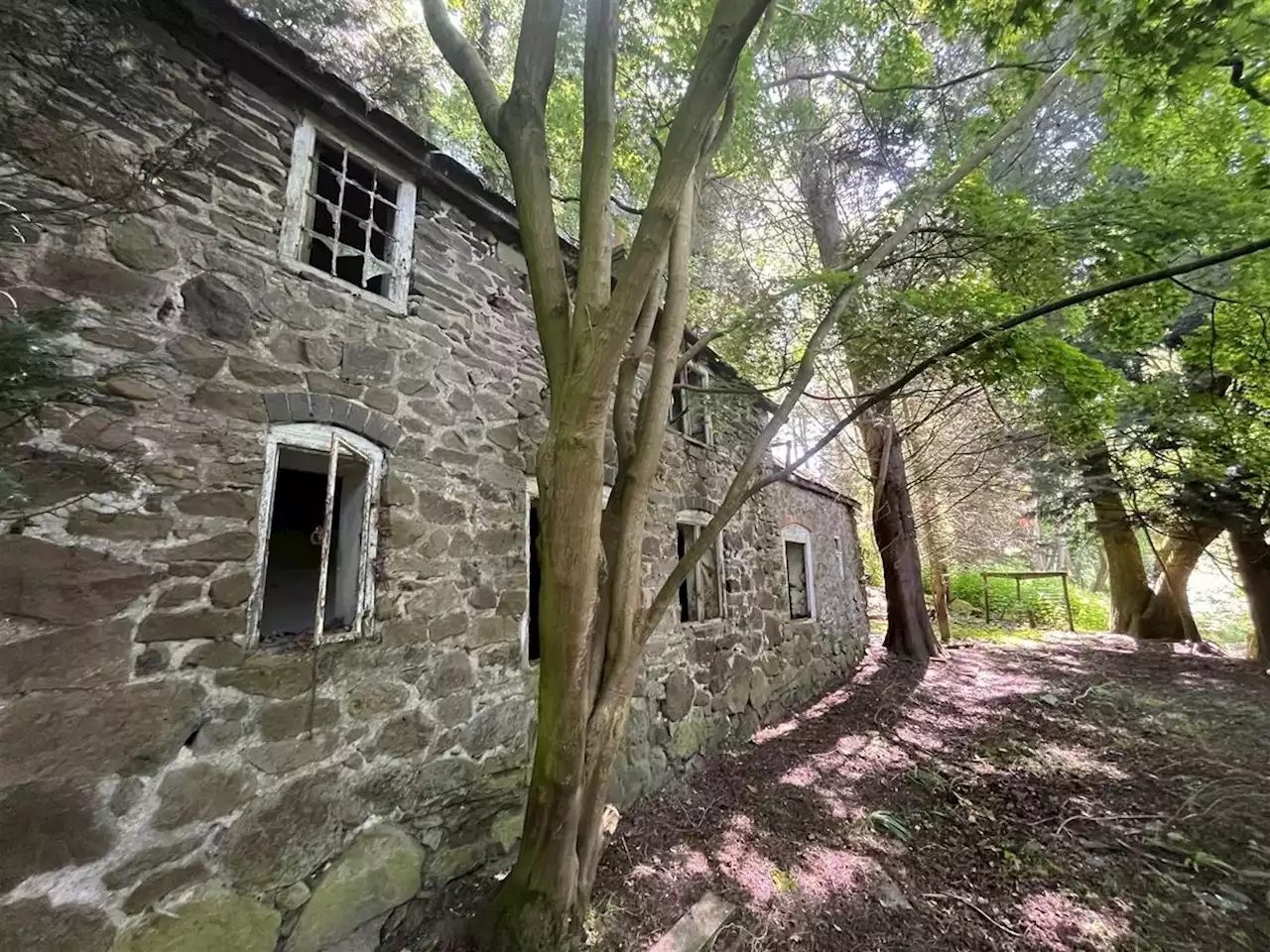 Characterful stone house in forest at the foot of the Long Mynd up for sale at auction