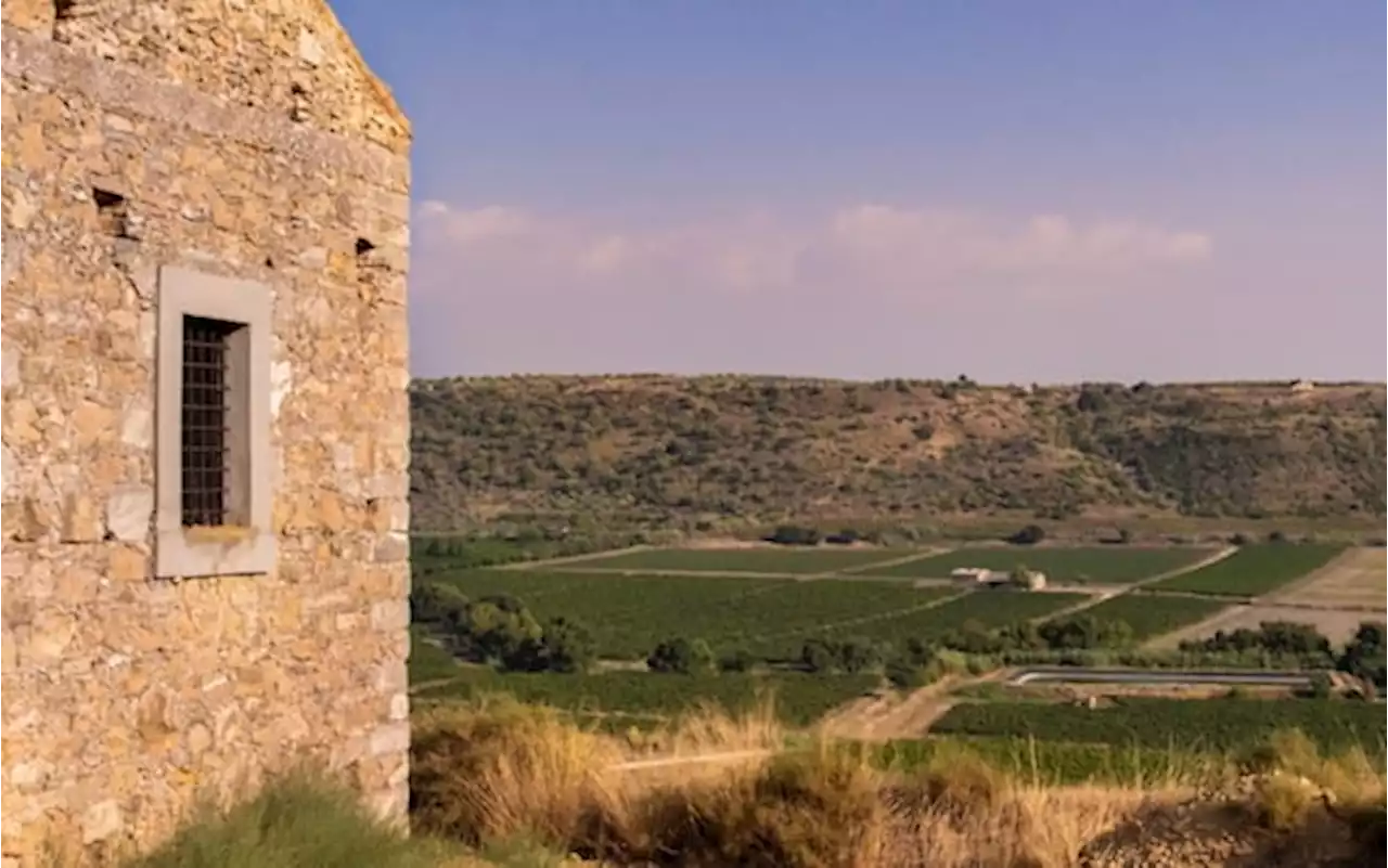 Nelle terre del Cerasuolo, alla scoperta della Sicilia sud-orientale