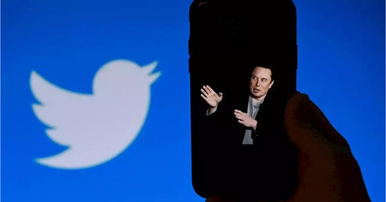 Twitter, la stretta di Musk: non puoi vedere i tweet se non ti iscrivi al social