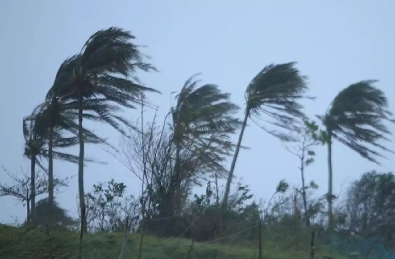 Strong winds forecast in northern states till July 5, says MetMalaysia