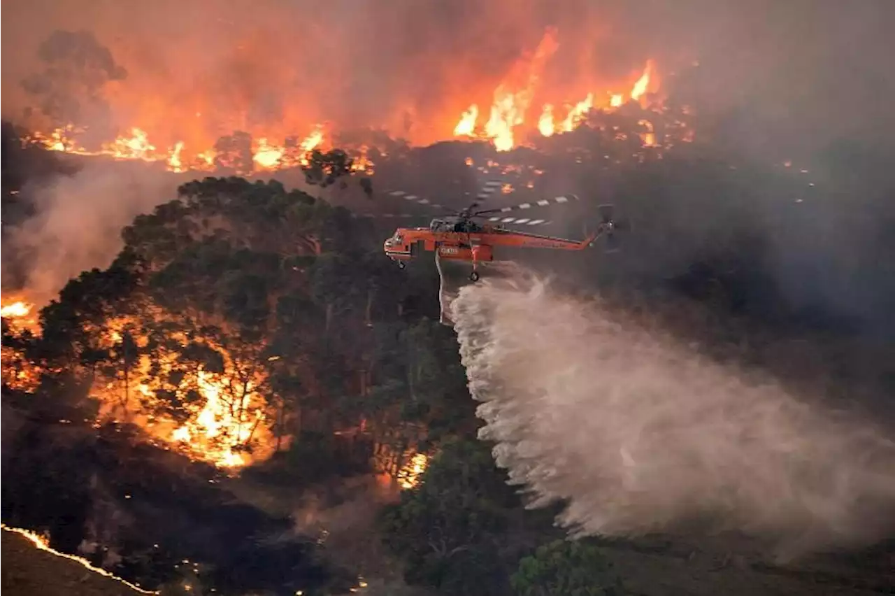 Australia braces itself for drought and fires in El Nino’s wake