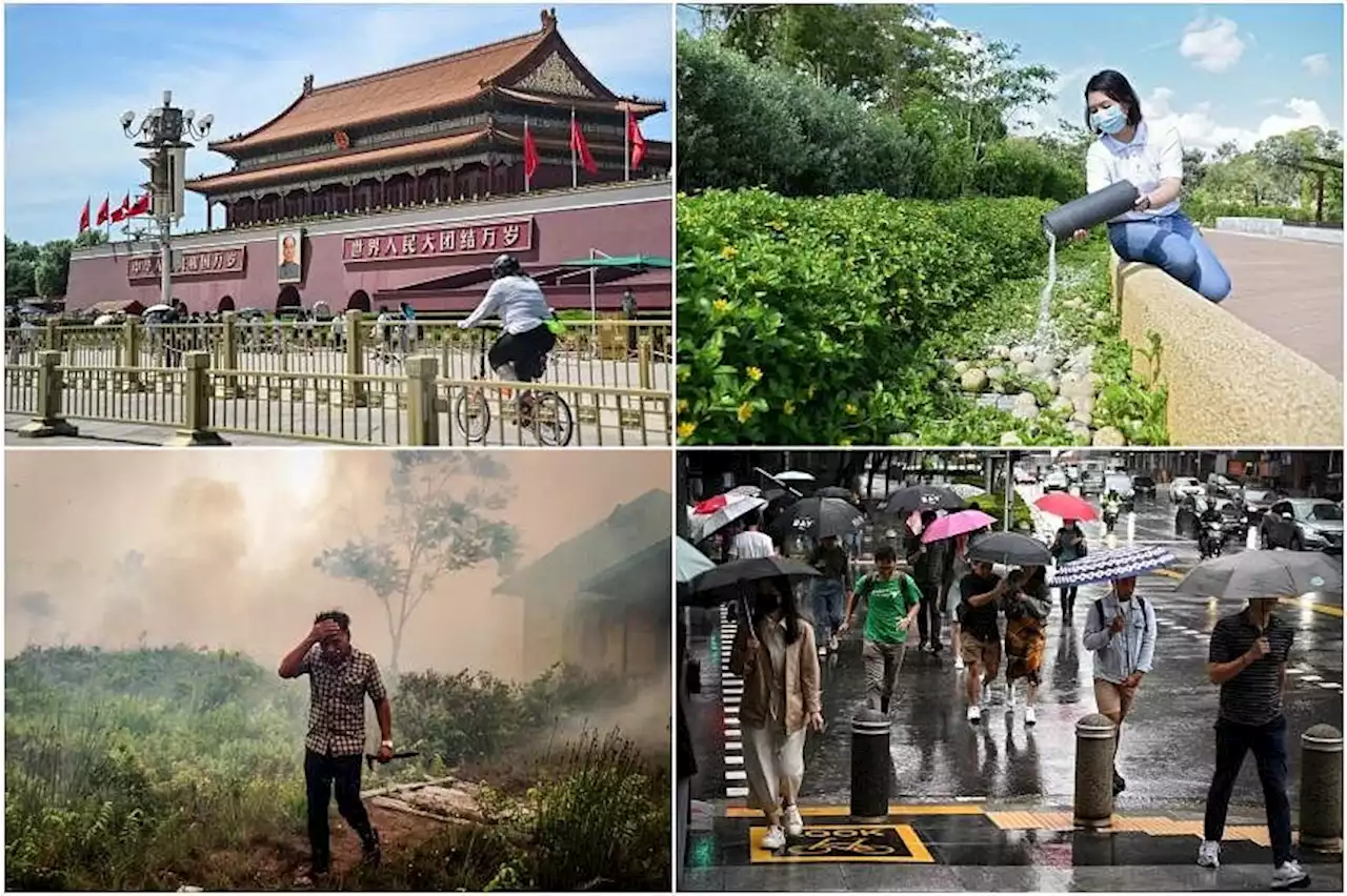 Morning Briefing: Top stories from The Straits Times on July 1, 2023