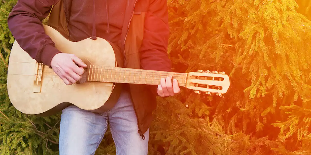 Recherche zu einem Enzensberger-Gedicht: Die verwunderte Gitarre