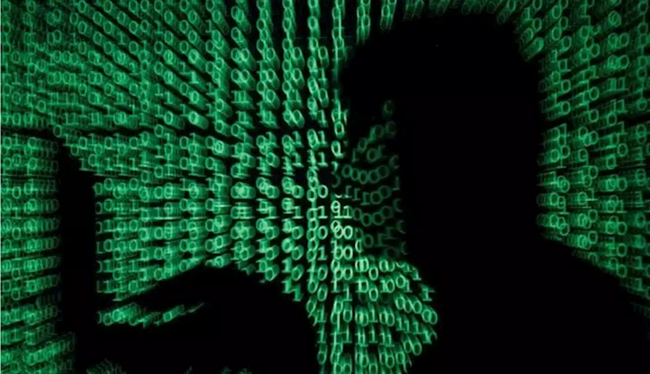 South Africa: Cyber deal with France hints at crackdown on computer criminals - The Africa Report.com