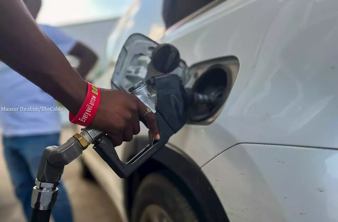 Alleged plan to hike petrol price to N700 mere speculation, says IPMAN | TheCable