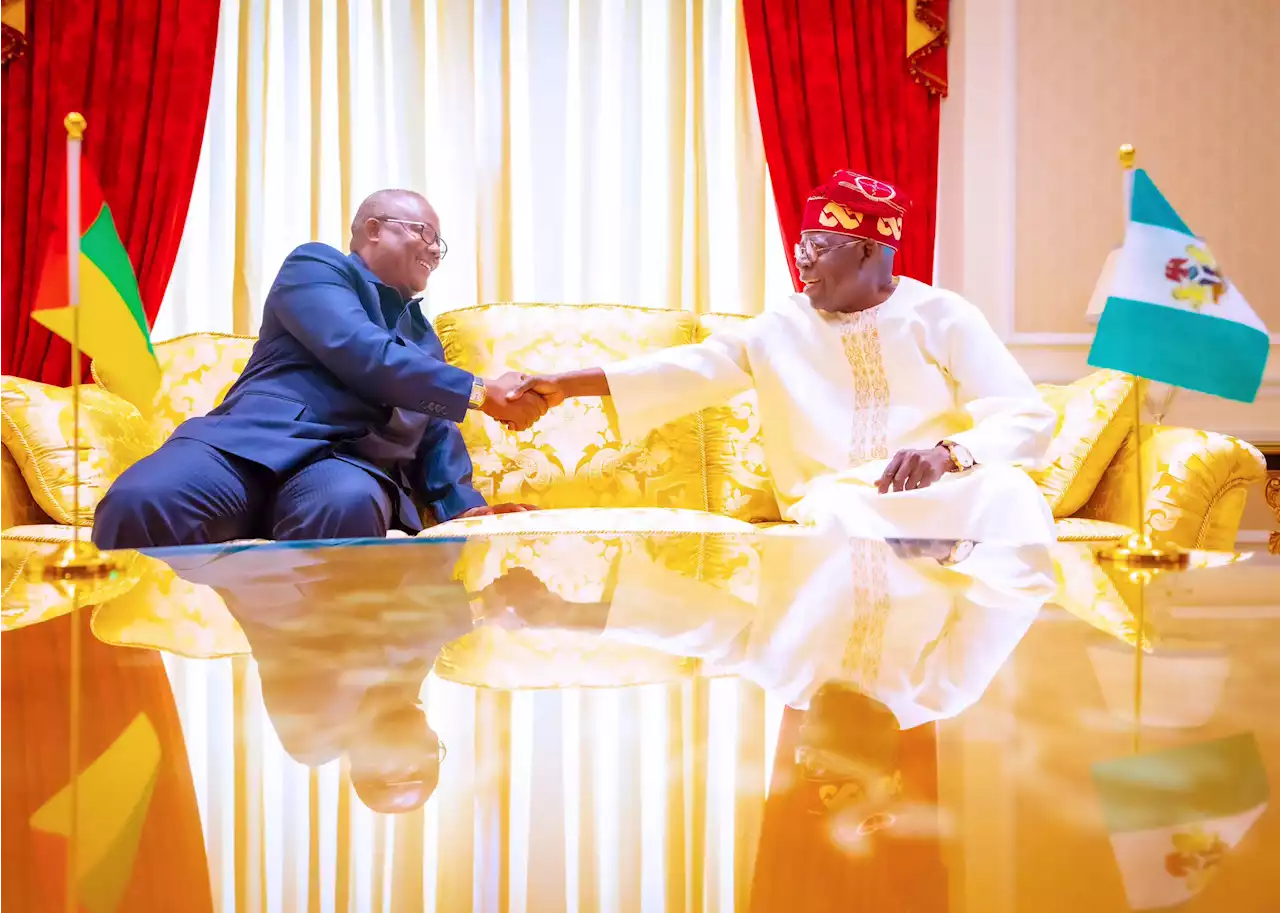 Guinea-Bissau's president visits Tinubu, commends FG's new policies | TheCable