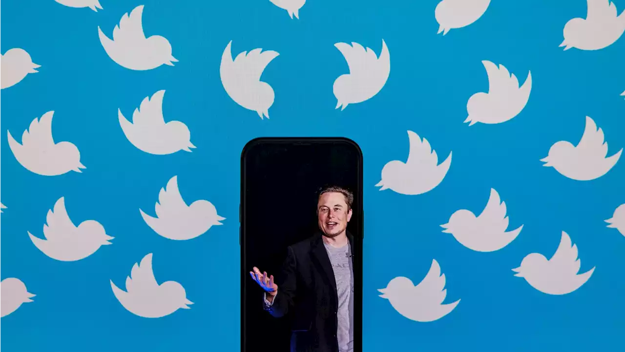 Twitter applies temporary limits on how many Tweets people can read, Elon Musk announces