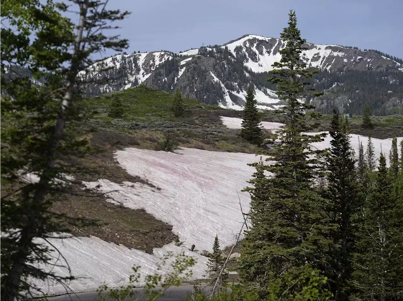 ’Watermelon snow’ piques curiosities in Utah after abnormally wet winter