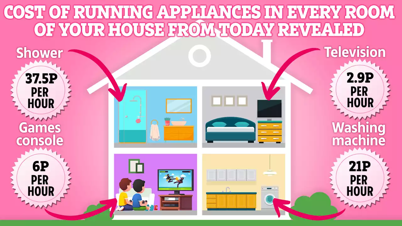 Costs of running household appliances from today revealed - what will you save?