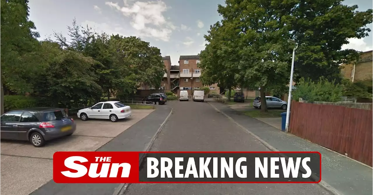 2 children and woman in her 30s killed in house fire as man fighting for life