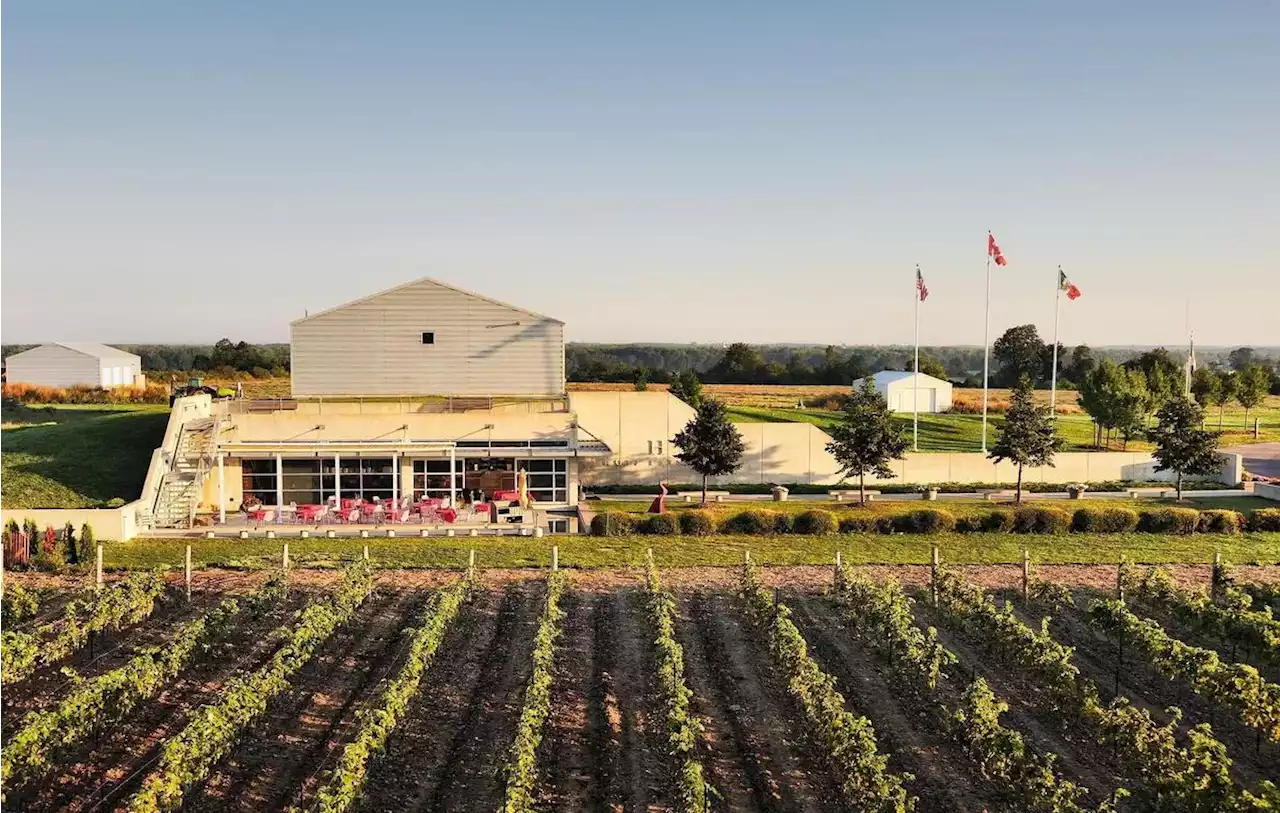 Visit this Prince Edward County winery for outstanding wines — and stay for the weekend