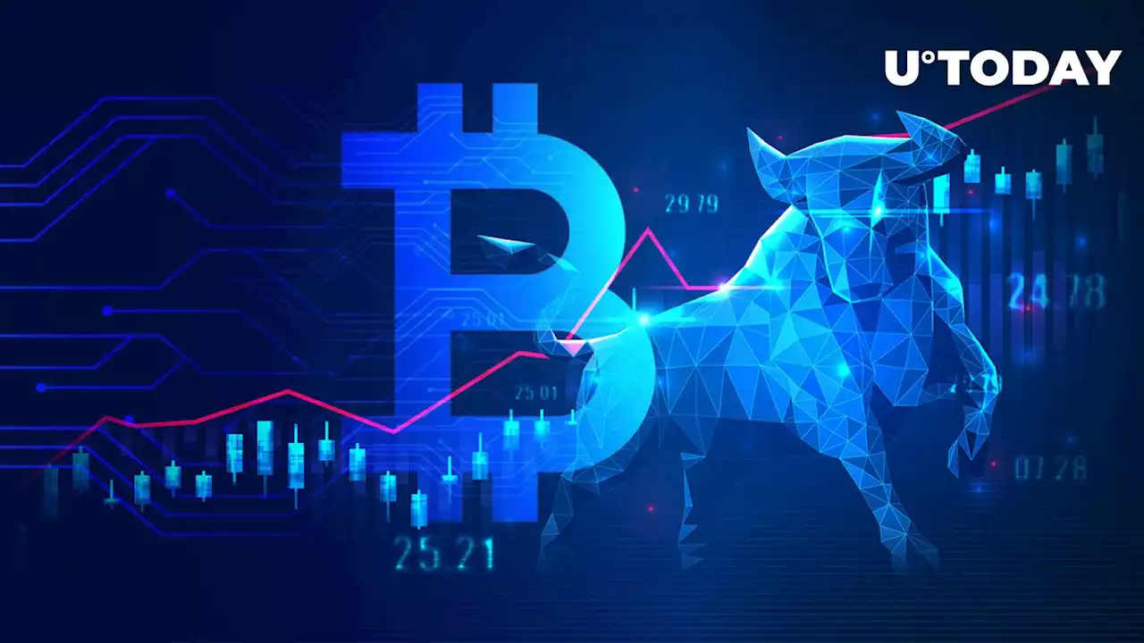 Bitcoin ETF Narrative Shapes BTC Bullish Rally in Many Ways, Asset Management Vet Says