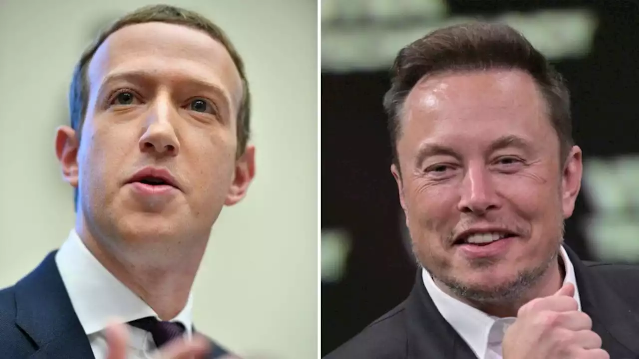 Vedremo davvero Elon Musk e Mark Zuckerberg lottare al Colosseo?