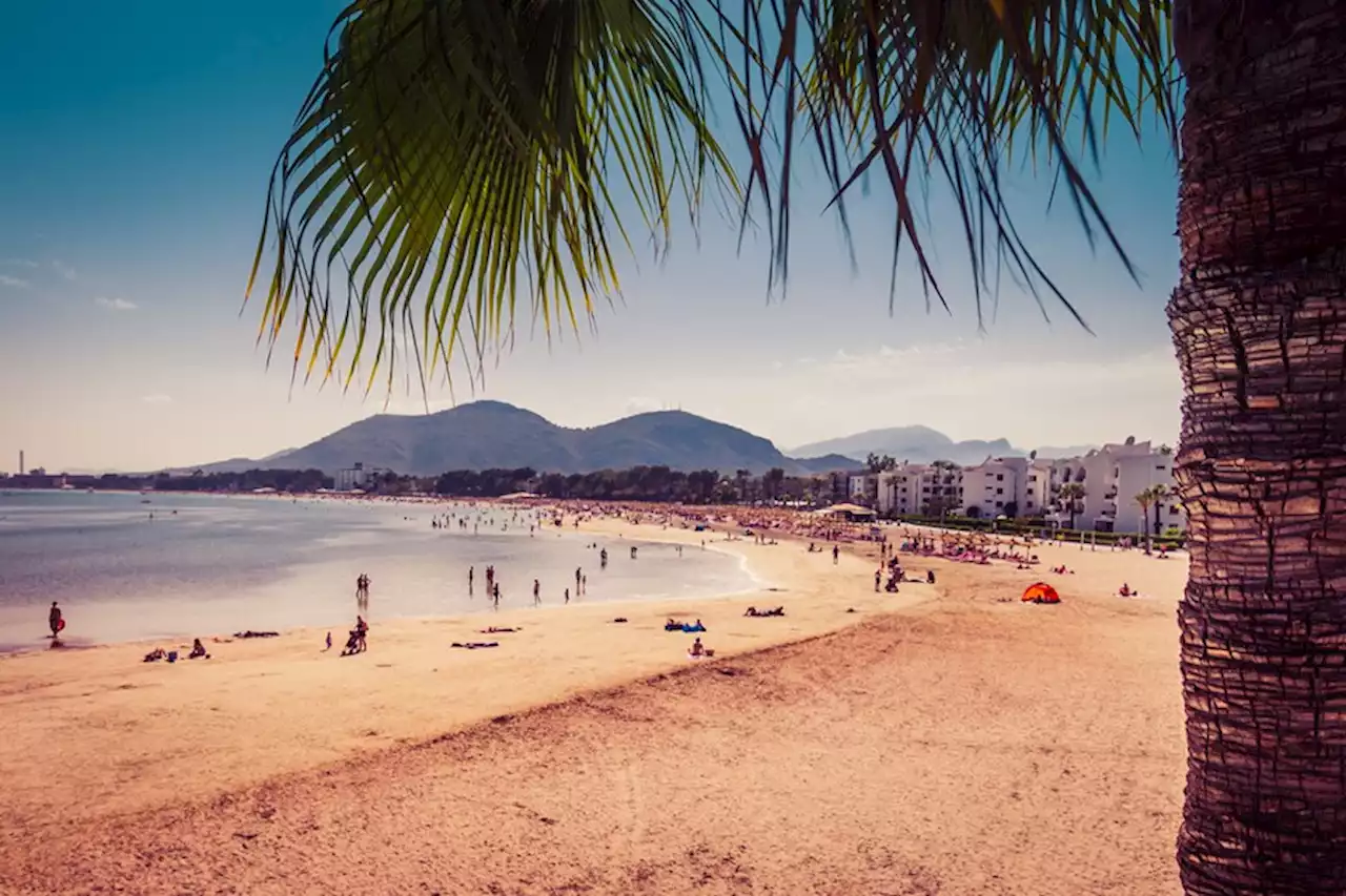 Las playas españolas se están llenando de 'avistamientos de tiburones'. Los expertos no saben aún por qué