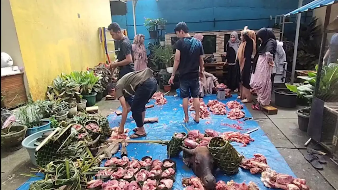 Kurangi Limbah Plastik, Di Bulukumba Daging Qurban Dibungkus Daun Kelapa