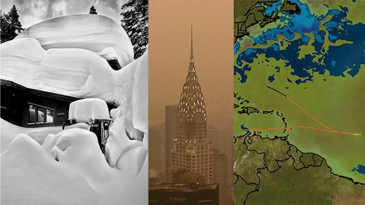 The 6 Strangest Things Of 2023's Weather So Far | Weather.com