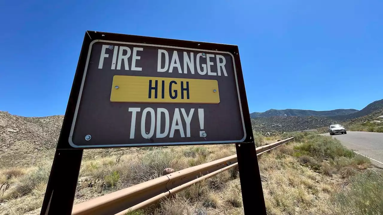 US forest managers urge revelers to swap fireworks for Silly String, but some say not so fast