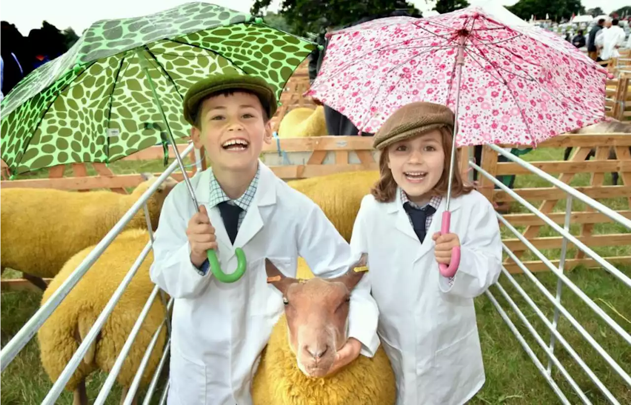 Yorkshire's summer programme of country shows