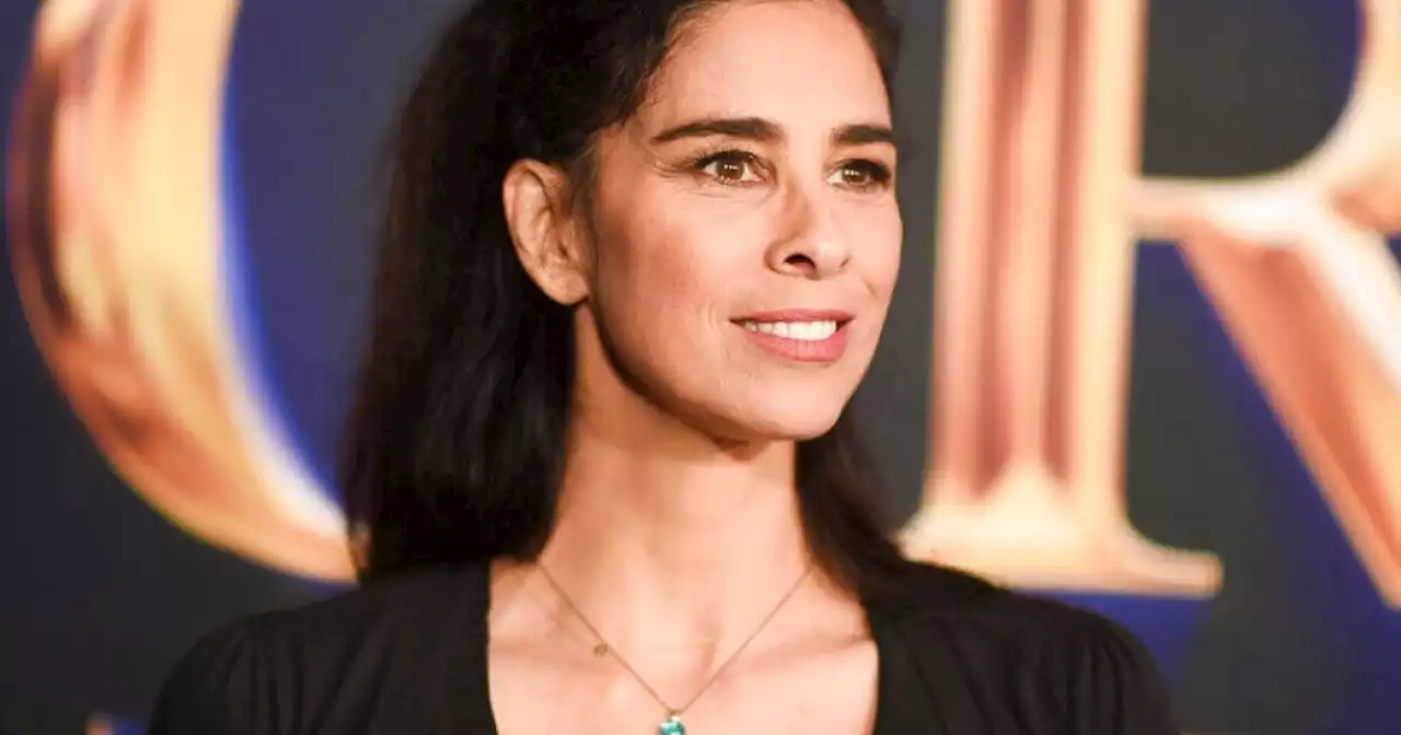 Sarah Silverman joins copyright lawsuit against OpenAI, Meta