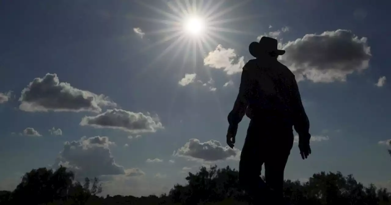 The heat is on: Soaring temperatures a cause for global concern