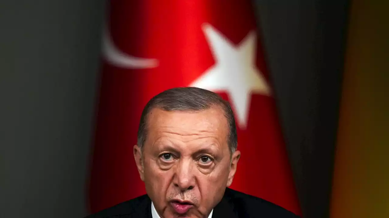 Erdogan says Turkey could approve Sweden's NATO membership if Europeans 'open way' to Turkey EU bid