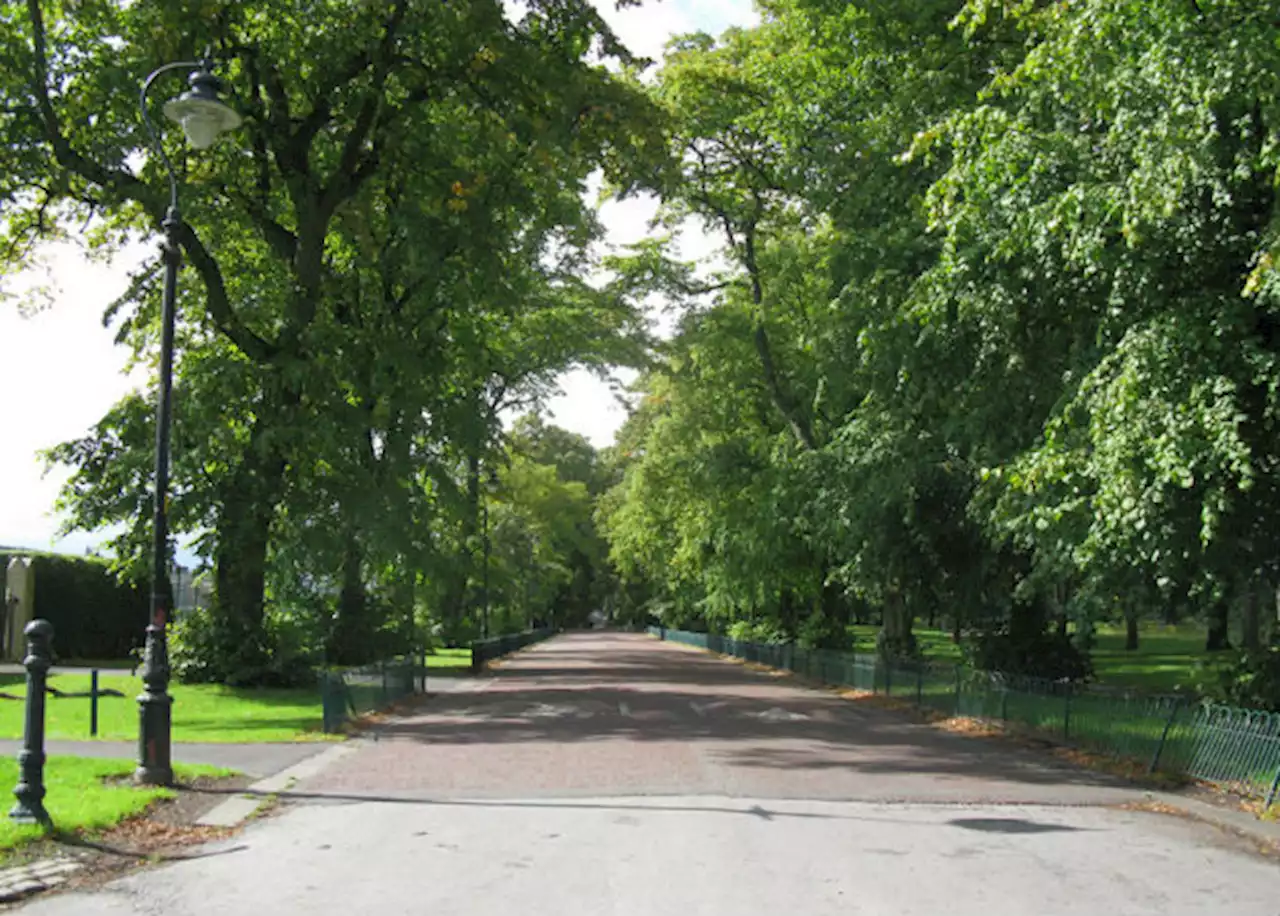 Woman arrested in Moor Park after being found with cannabis and cash