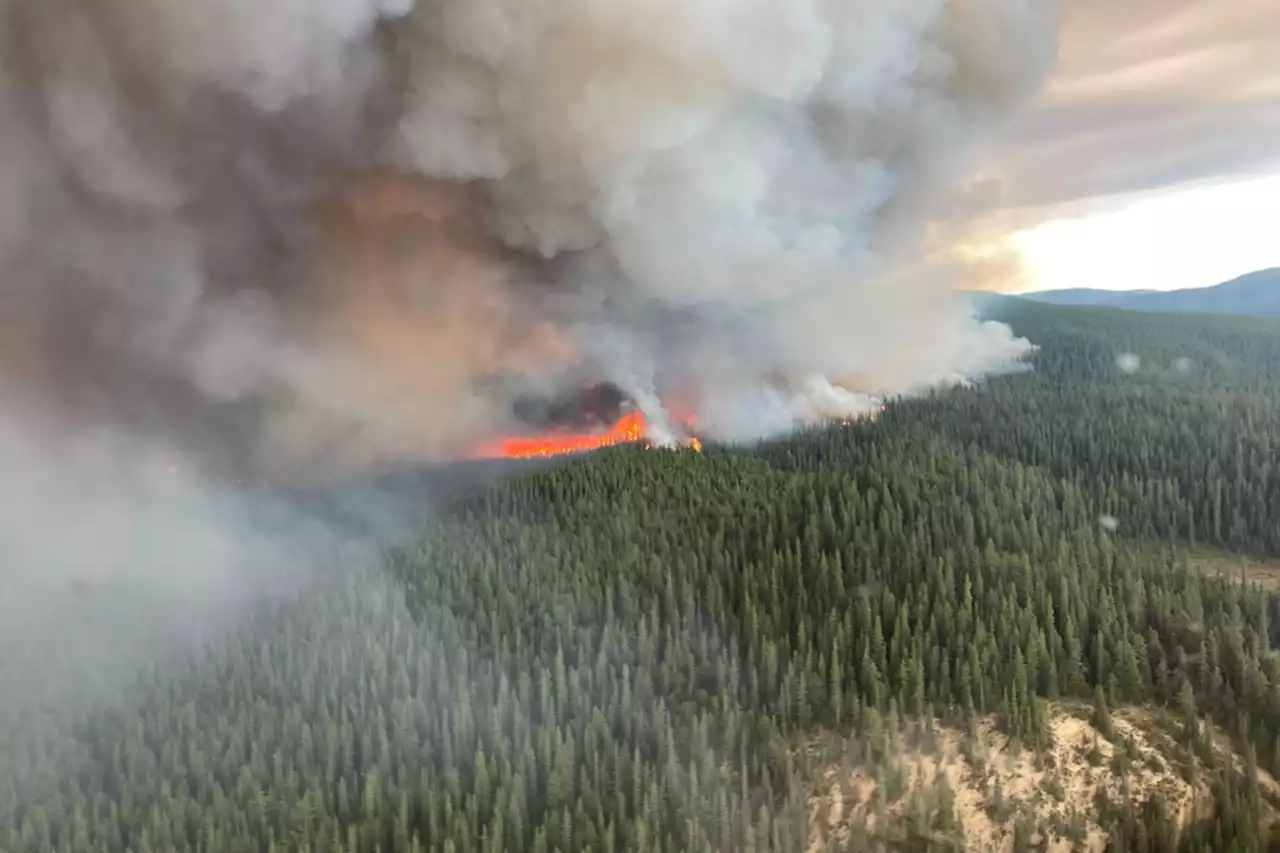 Several dozen wildfires sparked after over 19,000 lightning strikes hit B.C.