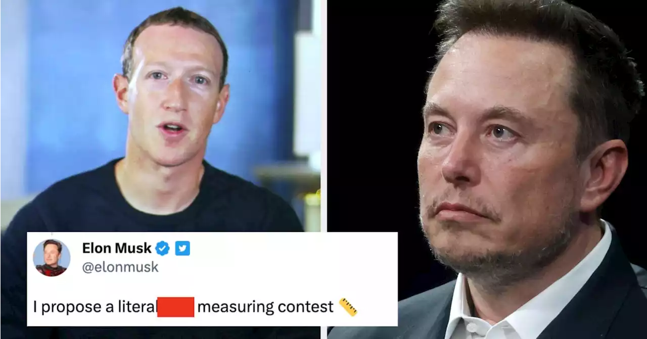 Elon Musk And Mark Zuckerberg Are Fully Publicly Feuding, And It's Getting Real Childish