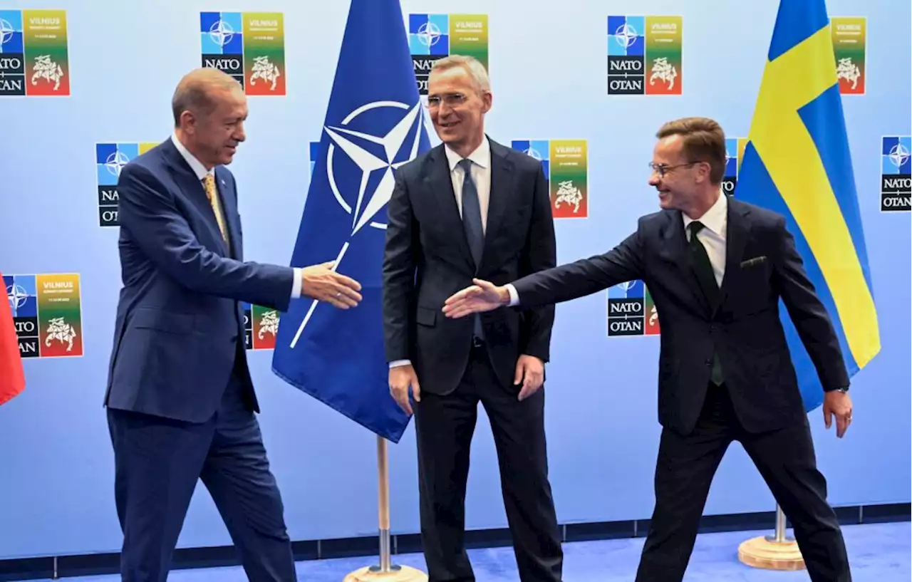 Erdogan macht Weg für Schweden in die Nato frei