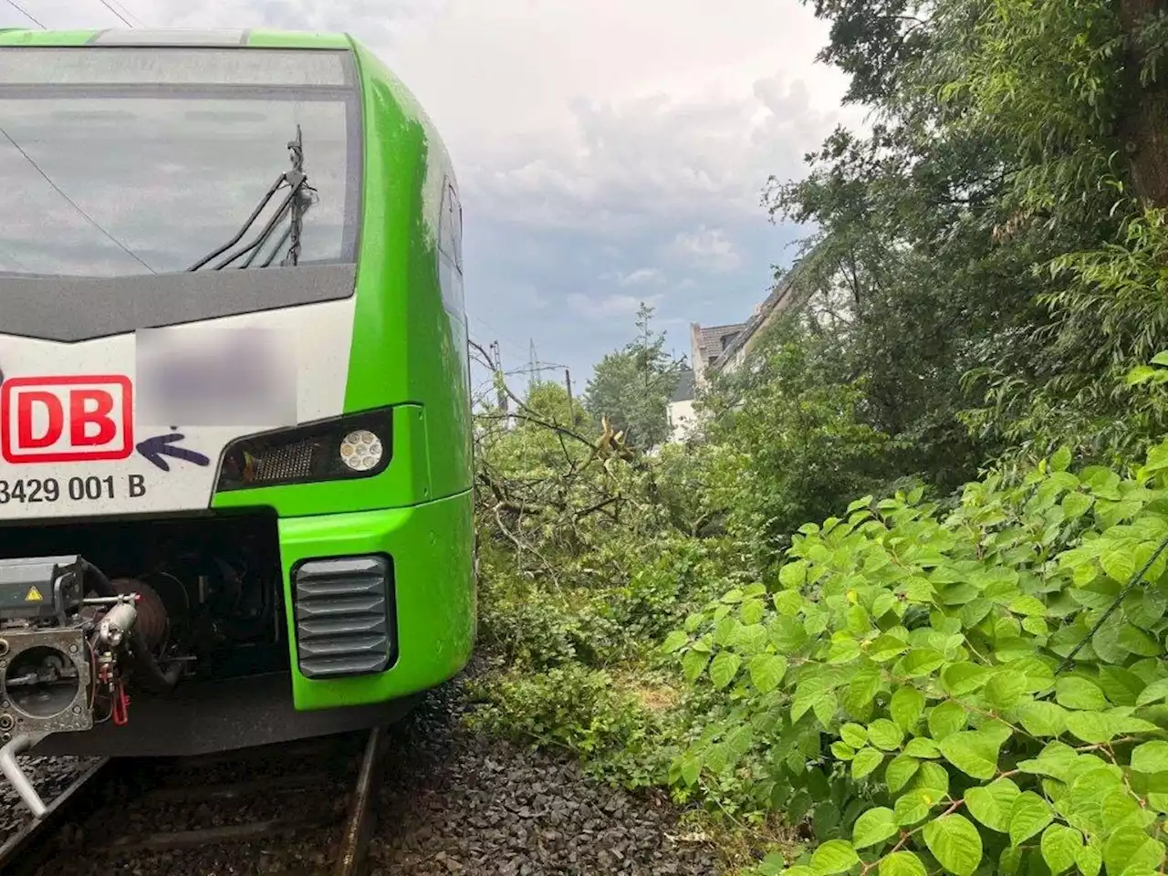 S9 kollidiert mit umgestürztem Baum - Bundespolizei und Feuerwehr evakuieren Fahrgäste