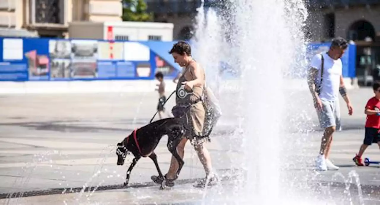 Meteo: inizia una settimana bollente, temperature oltre i 40 °C in Sicilia e Sardegna