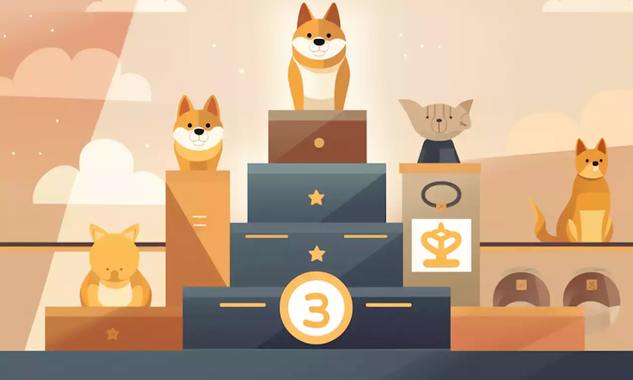 Shiba Inu, Compound share the spotlight as…