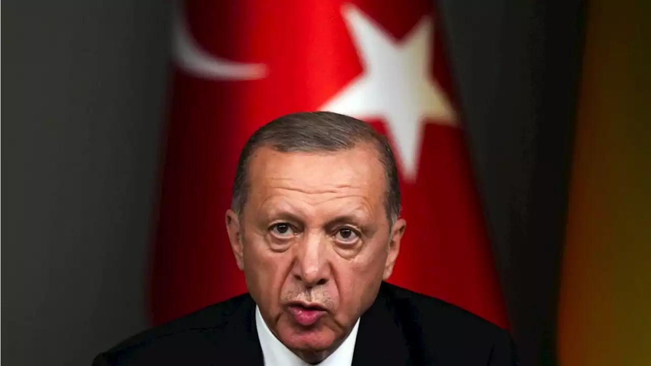 Erdogan: Turkiye could approve Sweden's NATO membership if Europeans 'open way' to EU