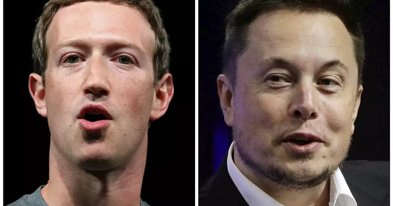 Elon Musk fuels cage match between Mark Zuckerberg and him