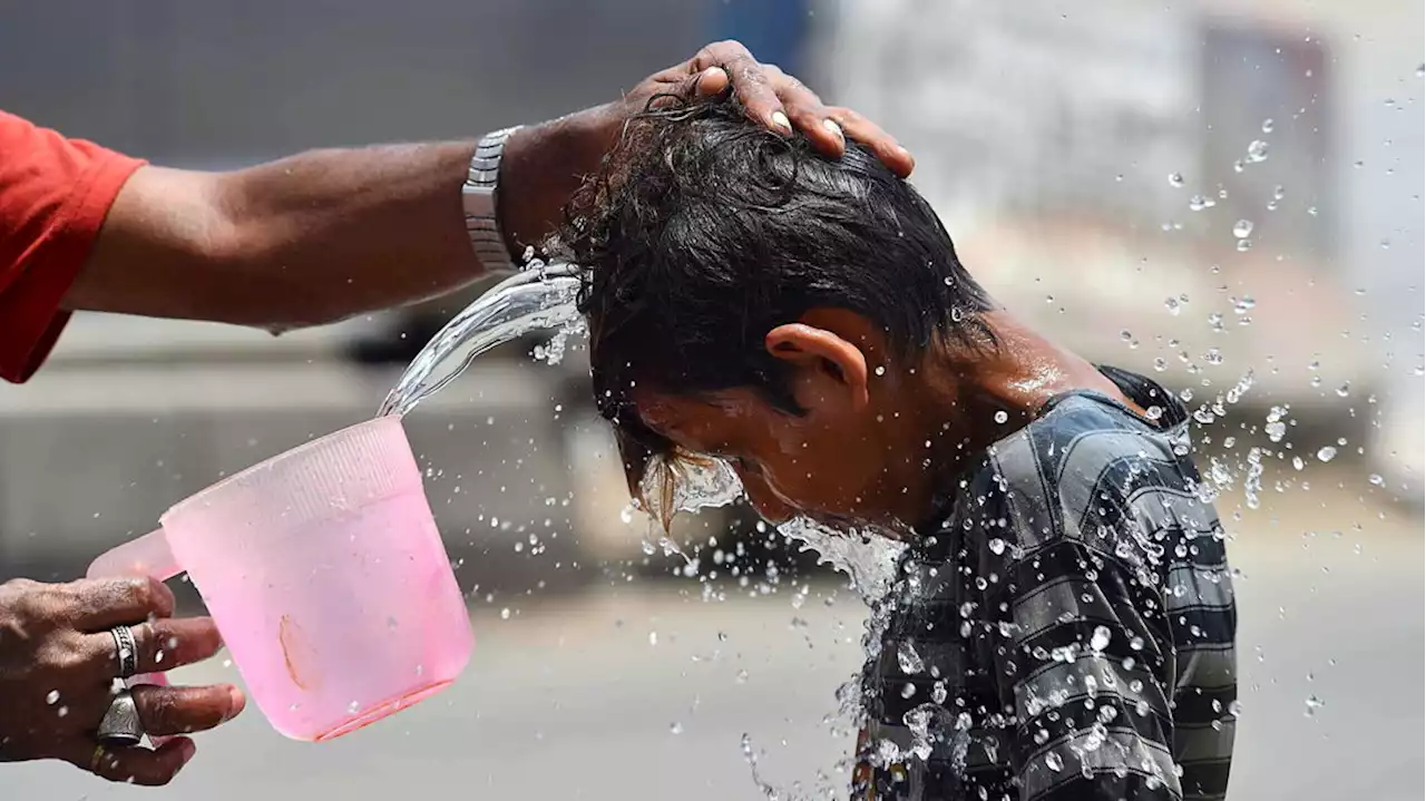 Mais de 60.000 mortos na Europa devido ao calor em 2022