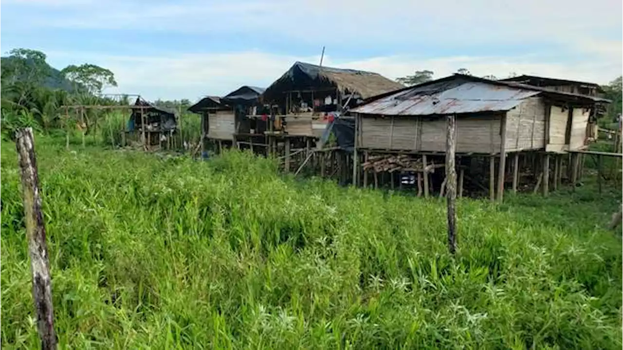 Así van los subsidios de vivienda con enfoque rural en Colombia