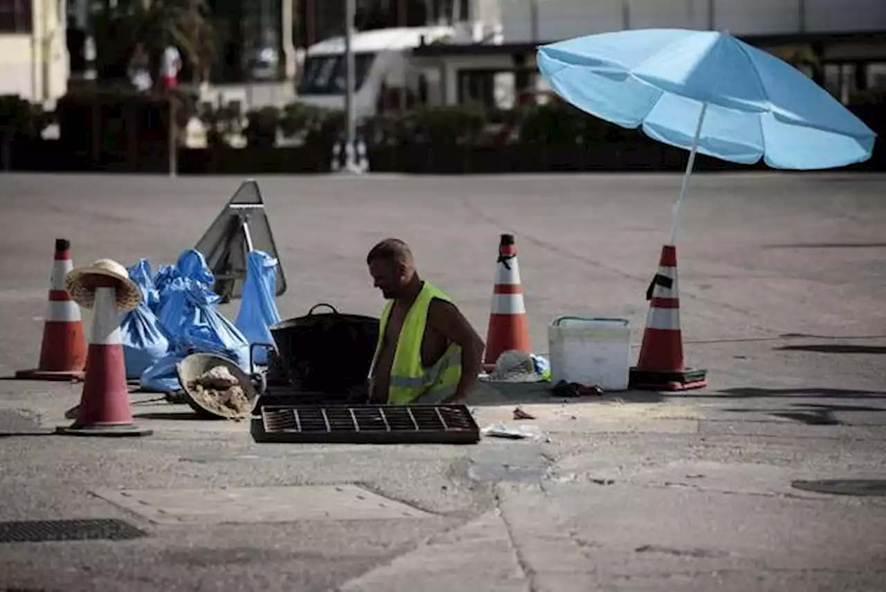 El calor récord del verano de 2022 provocó más de 61.000 muertes en Europa