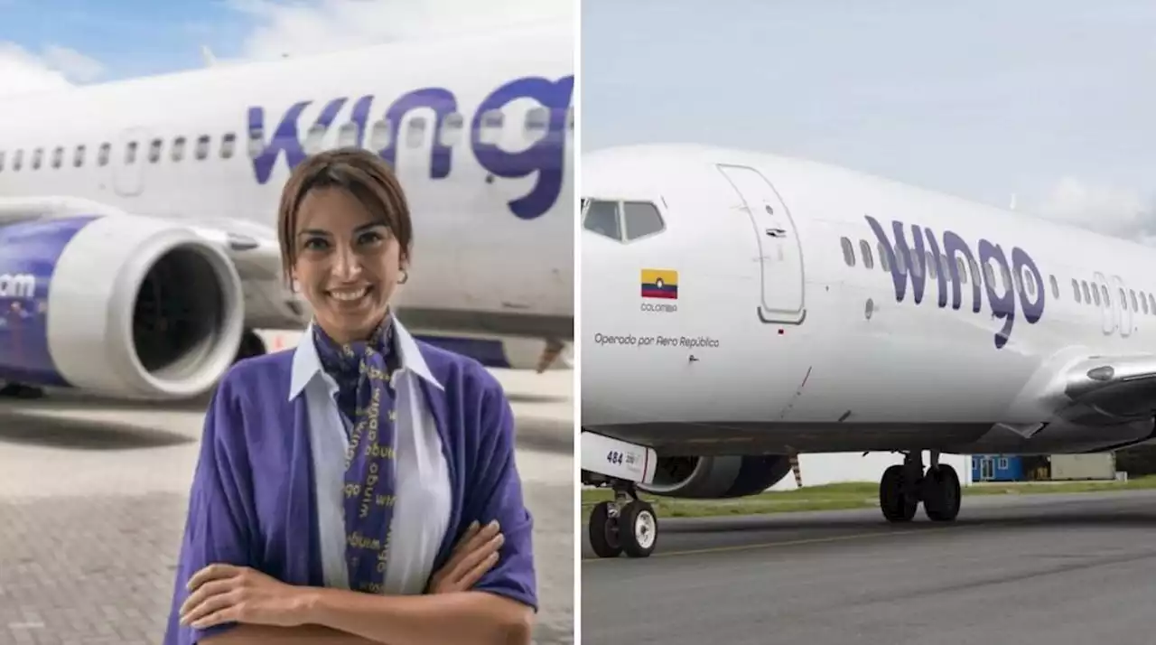 Wingo anuncia que ya tiene permisos para ir a Venezuela: ¿cuándo es el primer vuelo?