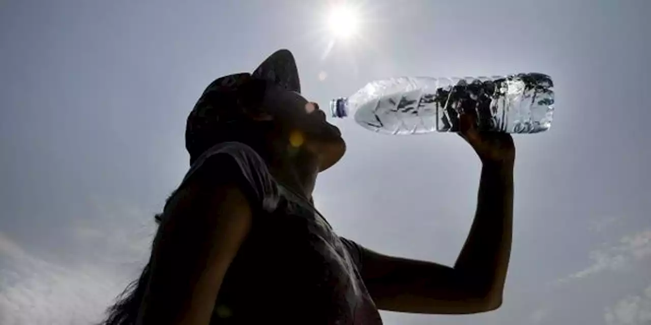 Sept départements du Sud-Est en vigilance orange canicule ce lundi