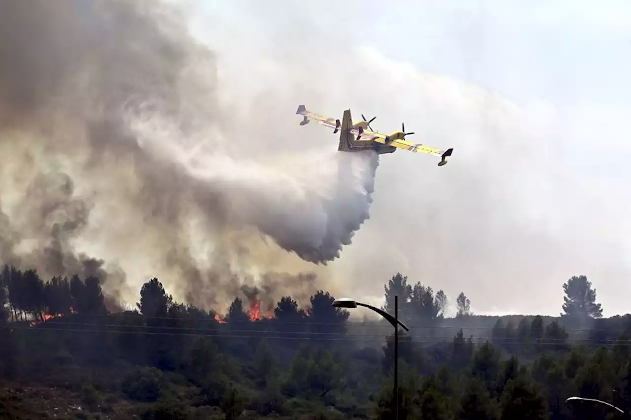 Incendies : risque de feu très élevé dans l'Aude, plusieurs massifs fermés au public ce mardi