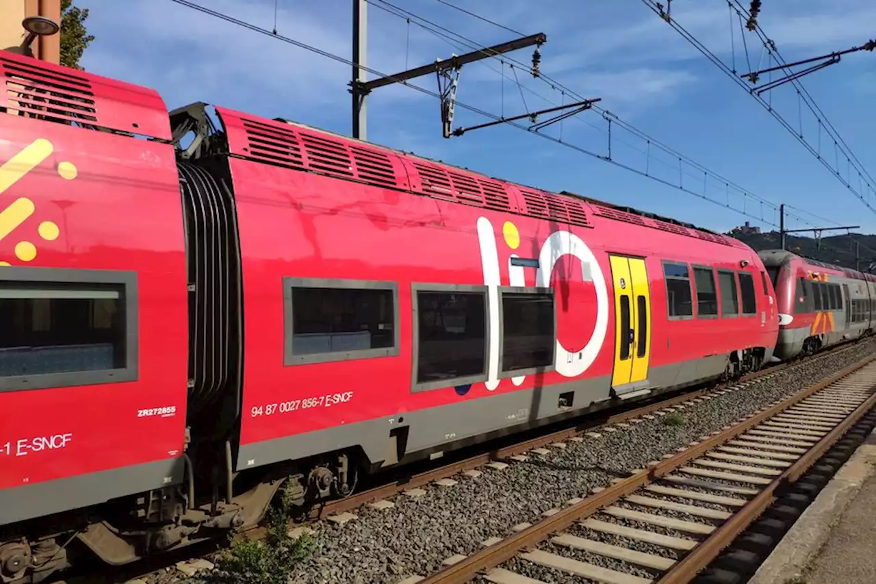 Un train arrêté en pleine voie au sud de Toulouse. Plusieurs passagers victimes de malaises