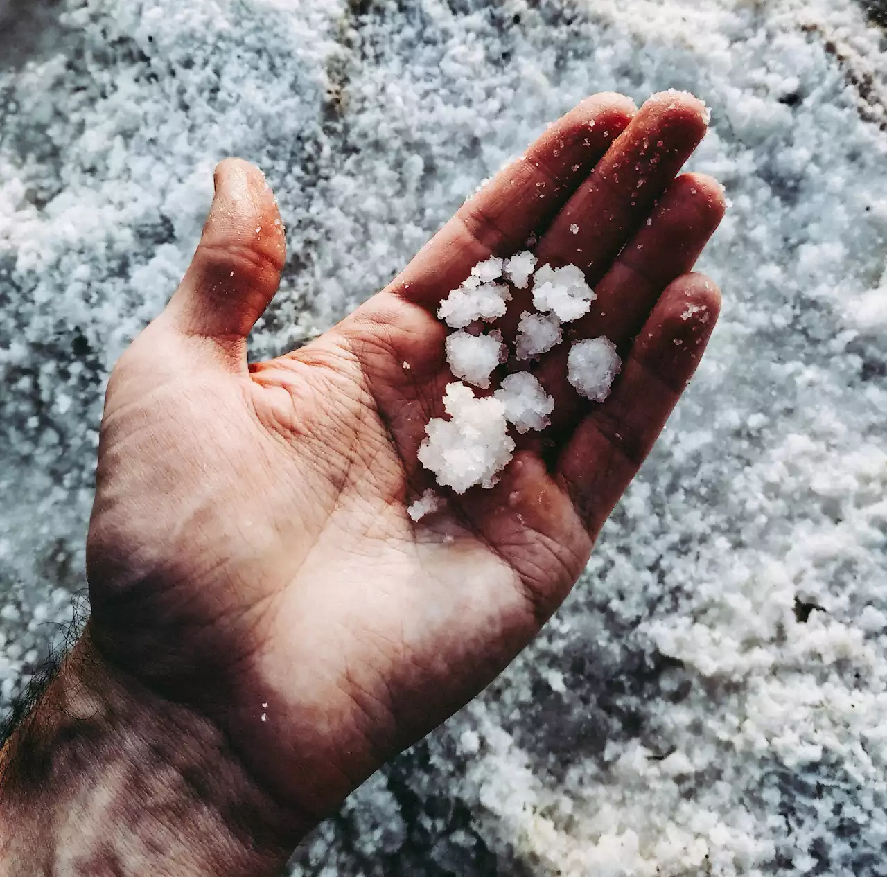 Rusning efter salt i Sydkorea. Innan Japan dumpar Fukushima-vatten i havet.