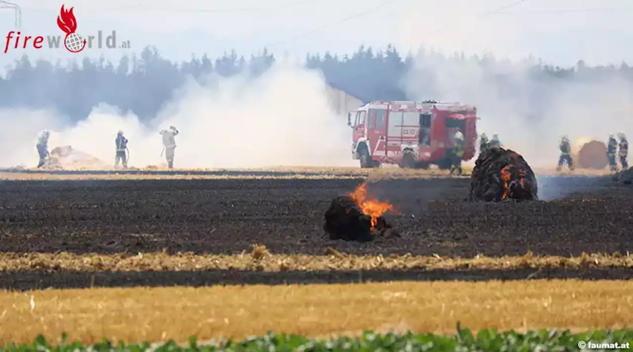 Oö: Feldbrände sorgen erneut für einige größere Einsätze der Feuerwehren