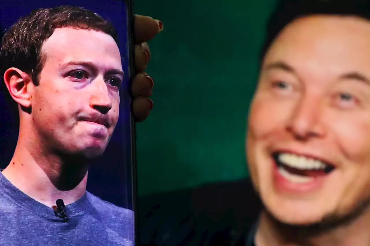 Musk Hits Below The Belt With Latest Zuckerberg Attacks: ‘Zuck Is A Cuck’