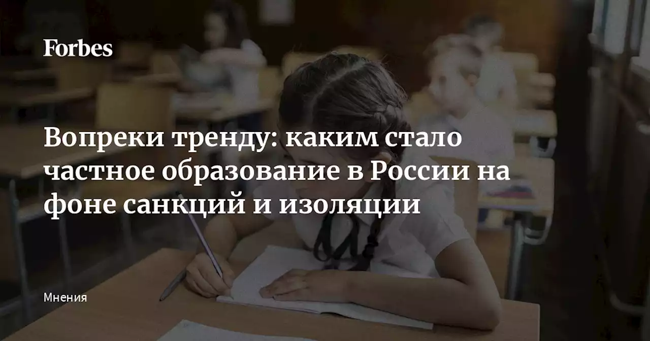 Вопреки тренду: каким стало частное образование в России на фоне санкций и изоляции