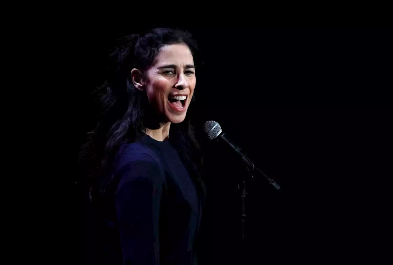 Sarah Silverman Sues OpenAI And Meta Over Copyright Infringement