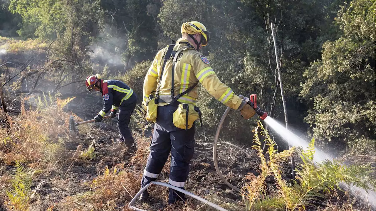 Incendies : la Fédération Nationale des sapeurs-pompiers craint que les moyens supplémentaires 'ne suffisent pas'