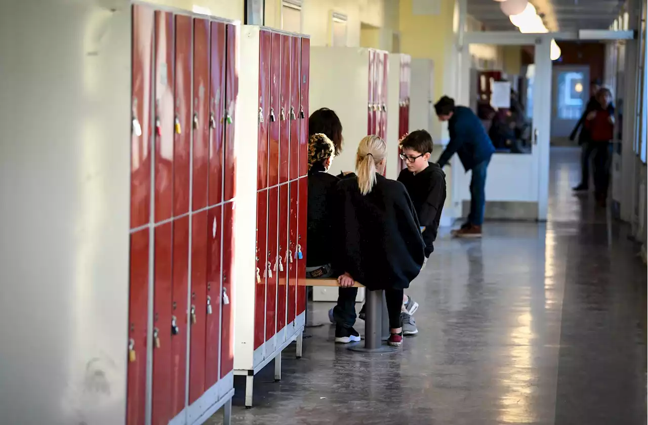 Fria ord: En ny tjänst kan bidra till att bekämpa mobbning i skolan